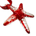 Sra World Passholders Red & Clear Starfish Glass Christmas Ornament