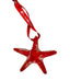 Sra World Passholders Red & Clear Starfish Glass Christmas Ornament