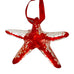 Sra World Passholders Red & Clear Starfish Glass Christmas Ornament