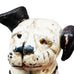 Vintage Nipper The RCA Dog w/Glass Eyes Cast Iron Coin Bank