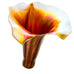 Vintage Fluted Calla Lily Tulip Flower Aurene Gold Art Glass Light Shade